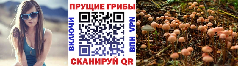 Псилоцибиновые грибы MAGIC MUSHROOMS  omg маркетплейс  Межгорье 
